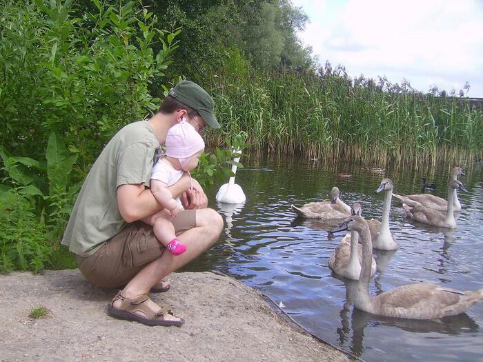 My daughter, me and swans