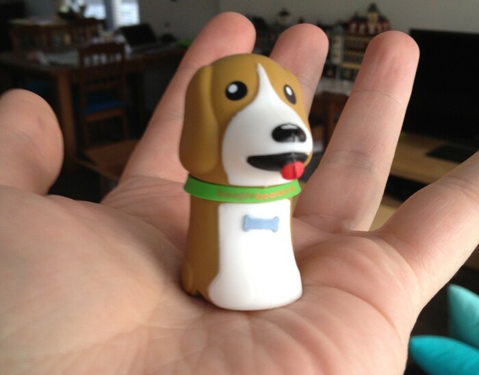 Beagle pendrive