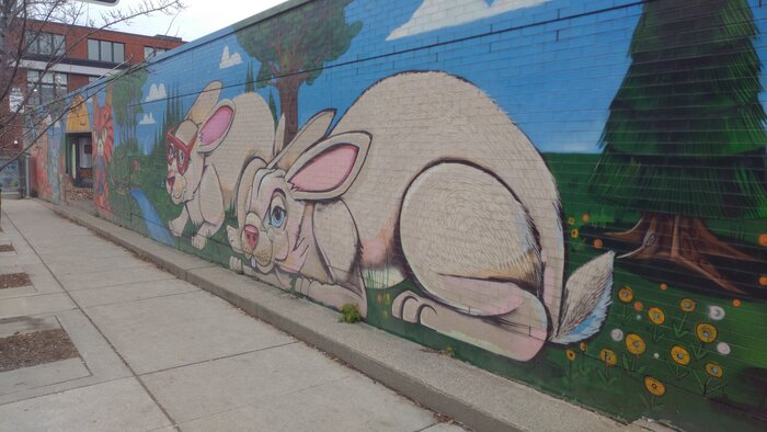 Rabbits graffiti