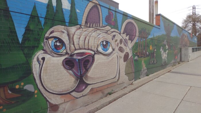 Dog graffiti
